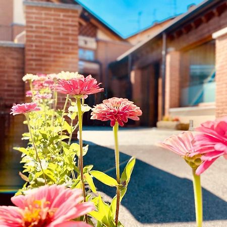 Agriturismo Teresa Delle Fragole Vigano Eksteriør billede