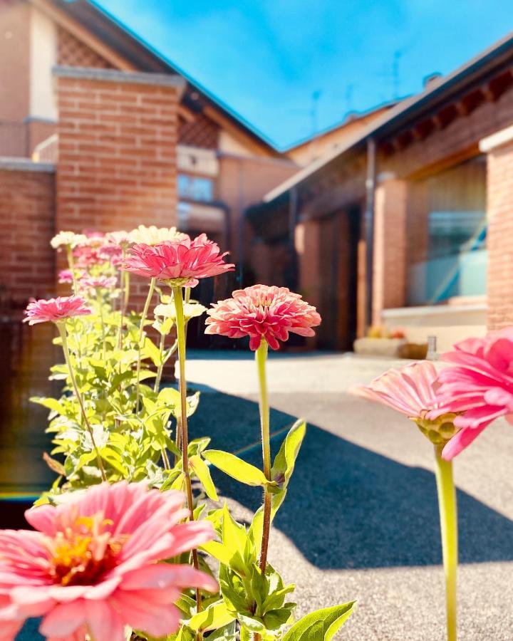 Agriturismo Teresa Delle Fragole Vigano Eksteriør billede