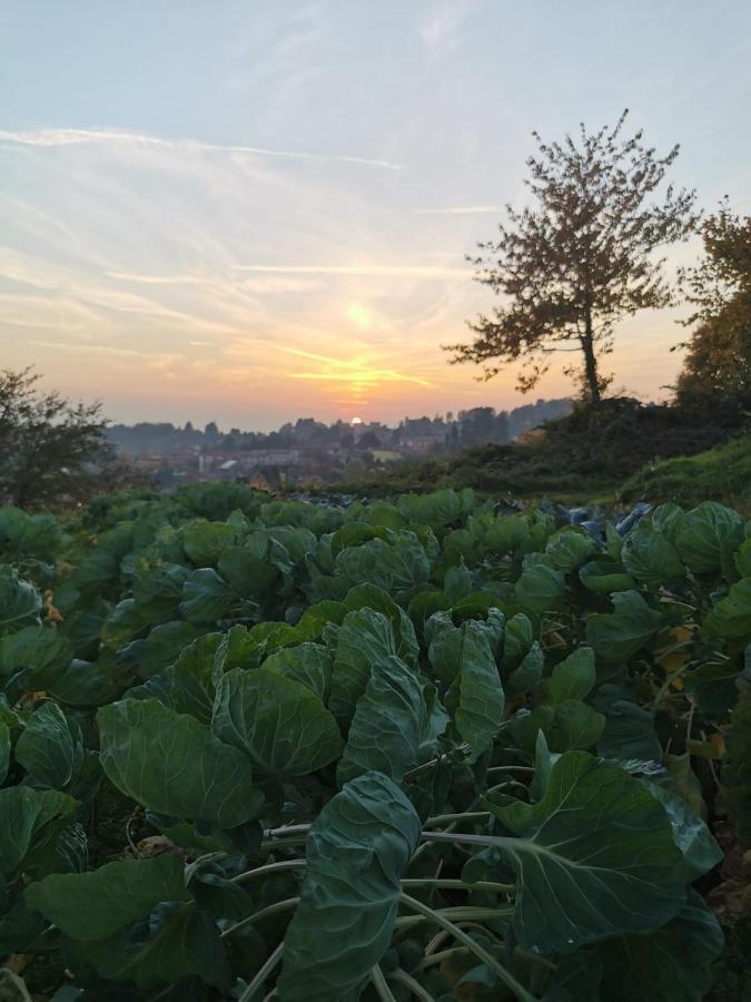 Agriturismo Teresa Delle Fragole Vigano Eksteriør billede