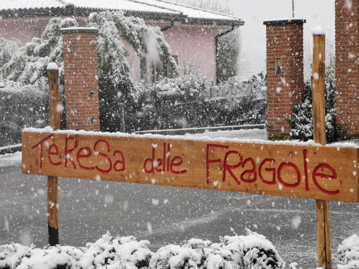 Agriturismo Teresa Delle Fragole Vigano Eksteriør billede